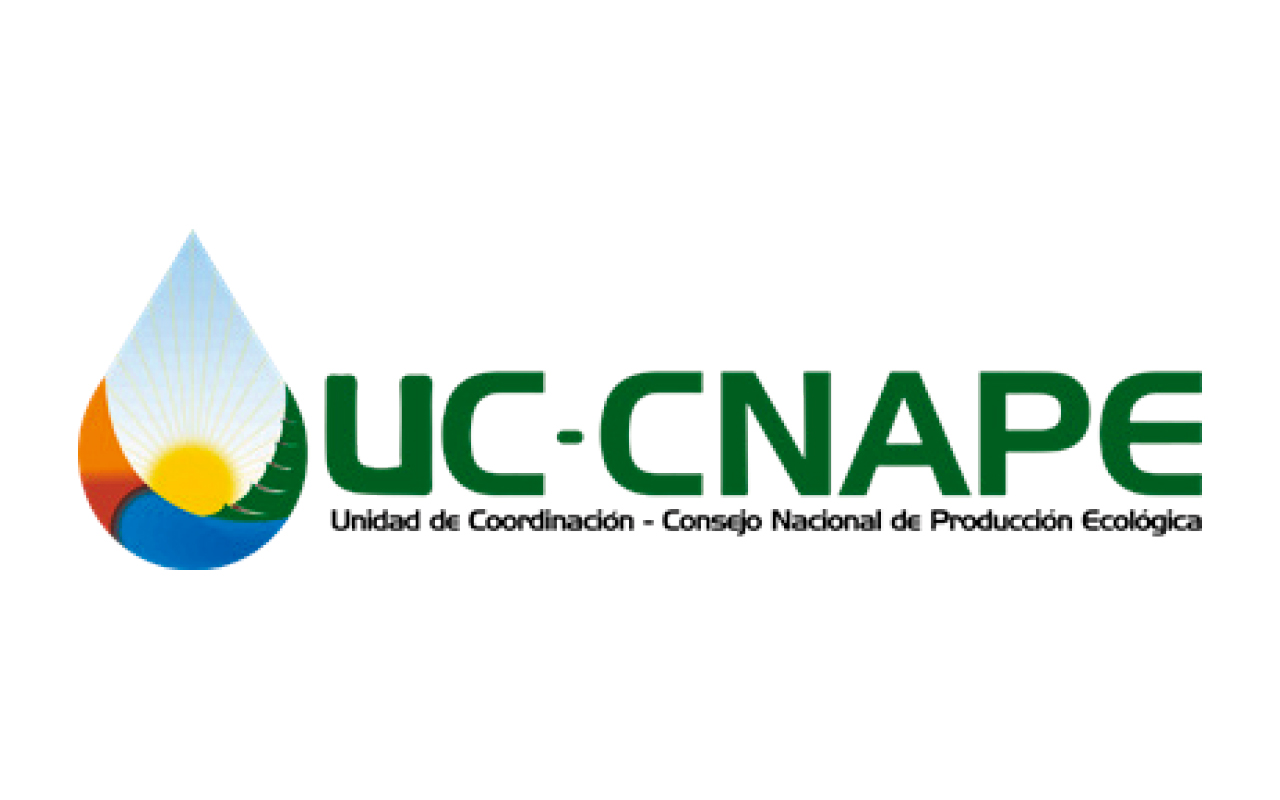 Logo 11