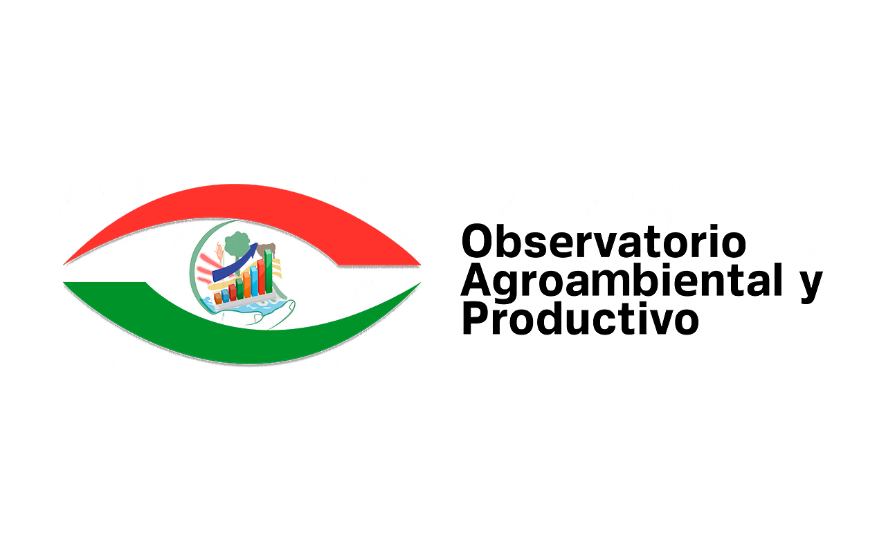 Logo 13