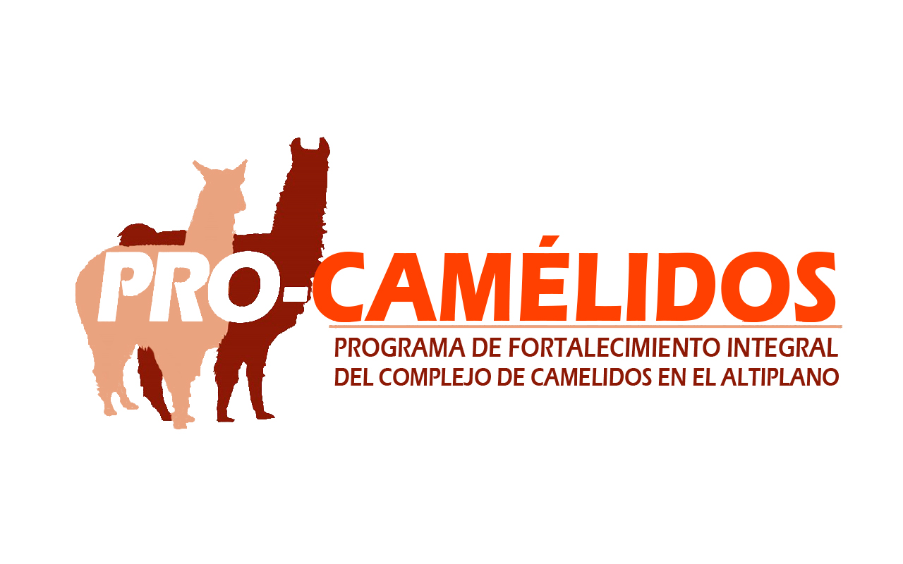 Logo 15