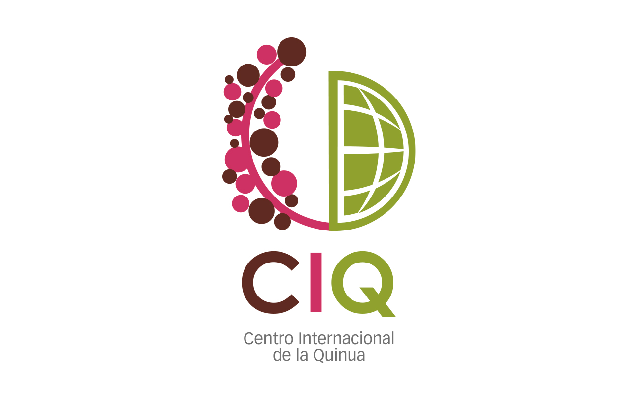 Logo 4