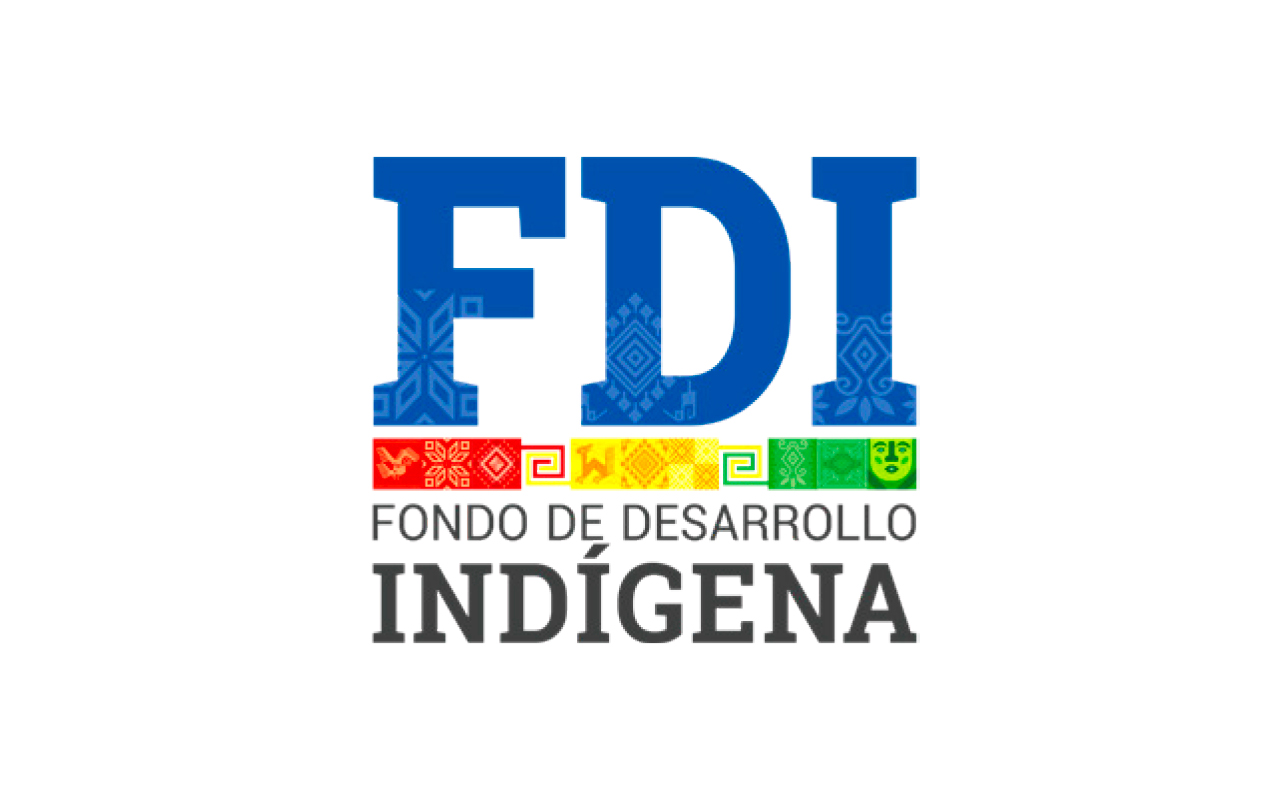 Logo 7