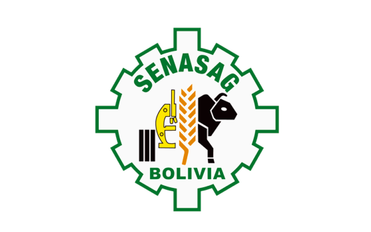 Logo 9